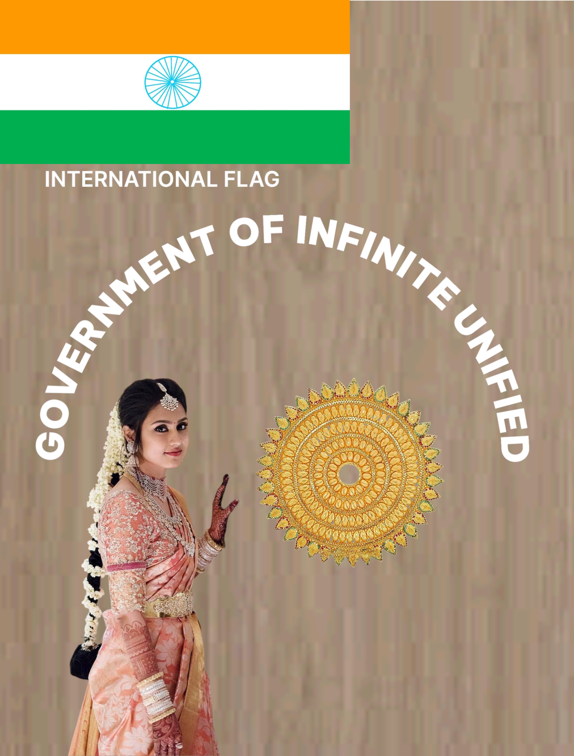 govt p 133