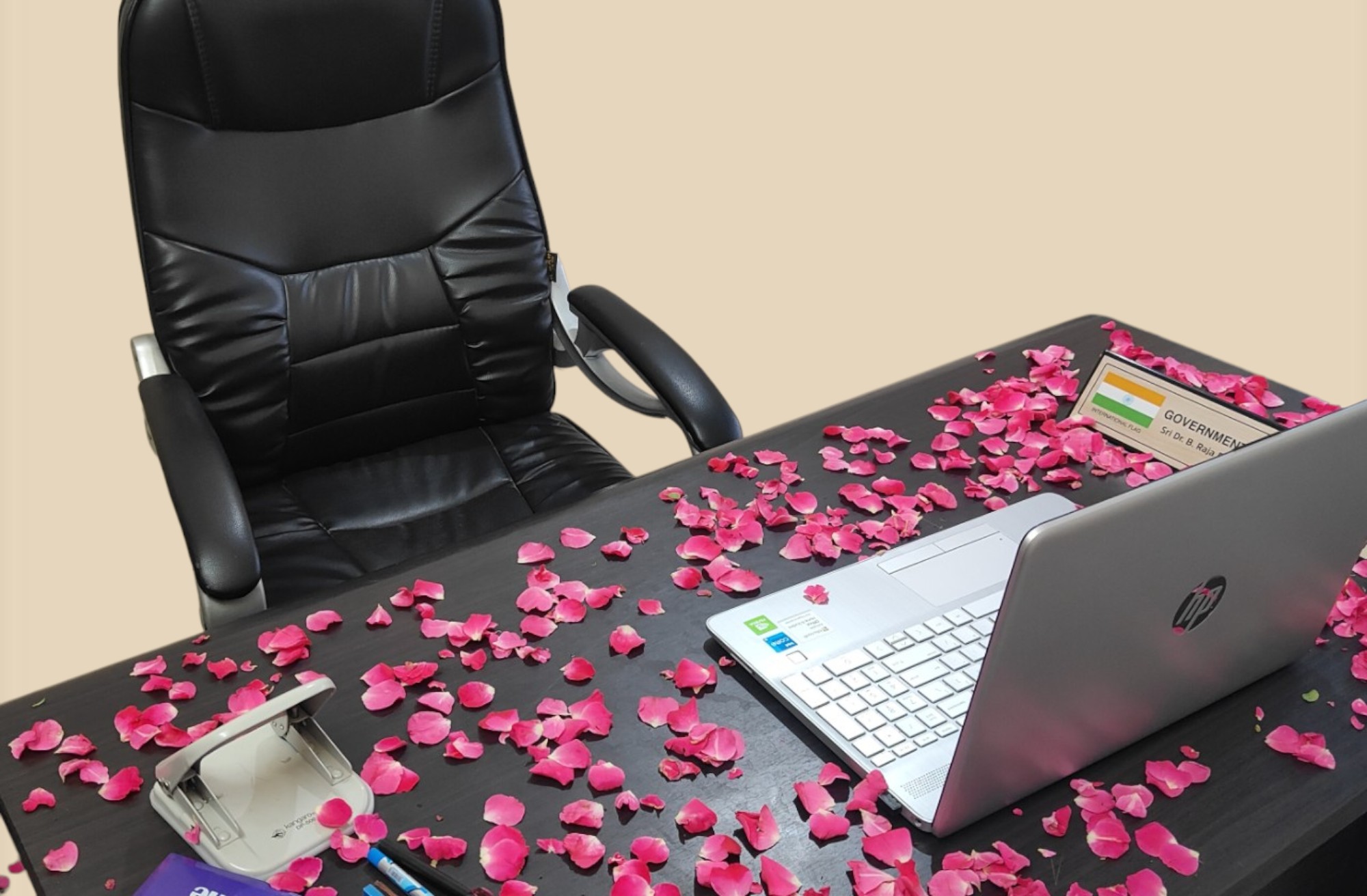 transparent photoroom (9)